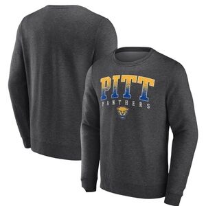 NWT Captivating NCAA Pitt Panthers Gray Sweatshirt Size 2XL